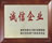 星光發(fā)電機榮譽(yù)